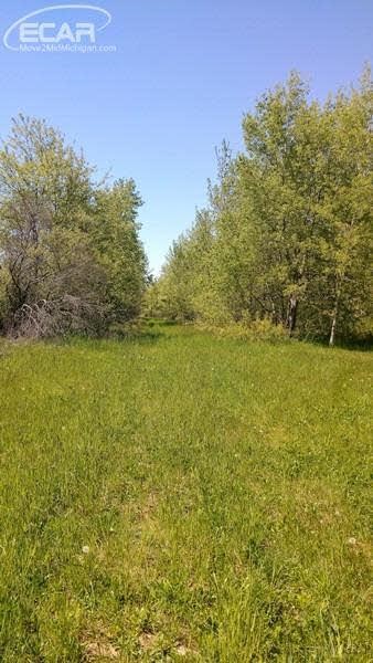 10176 Milliman Road Millington, MI 48746 - Photo 4 of 9