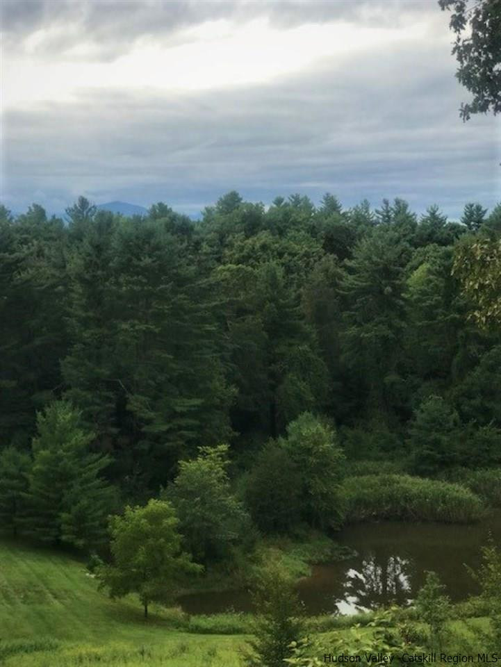 41 Stokes Way High Falls, NY 12440 - Photo 35 of 35 a view of a lake with a yard