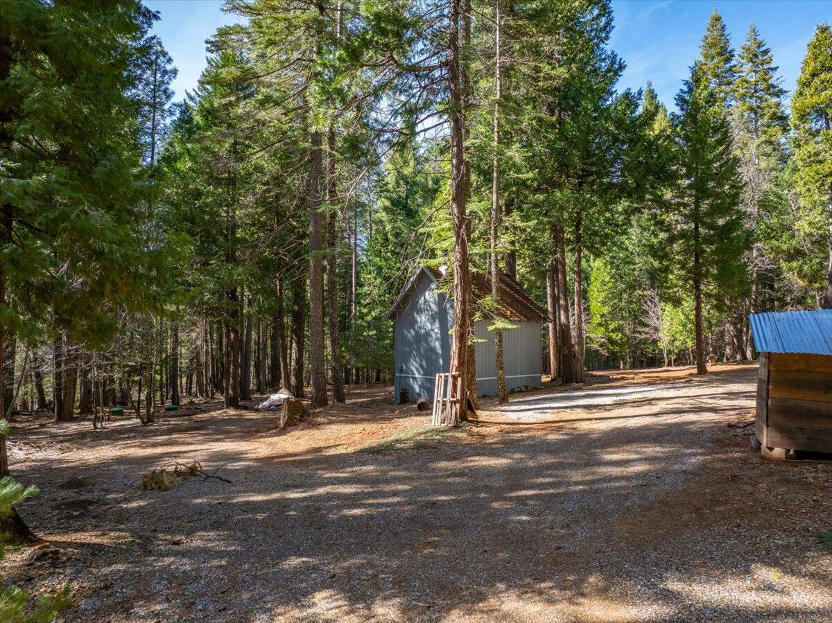8495 Sky Tree Lane Shingletown, CA 96088 - Photo 23 of 55 a view of street with large trees