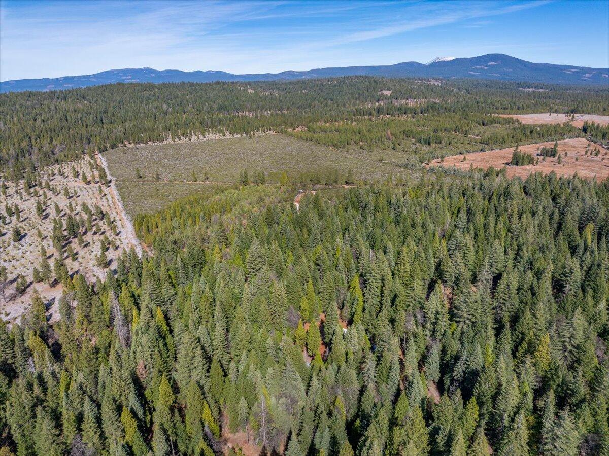 8495 Sky Tree Lane Shingletown, CA 96088 - Photo 29 of 55 a view of mountain with lake view
