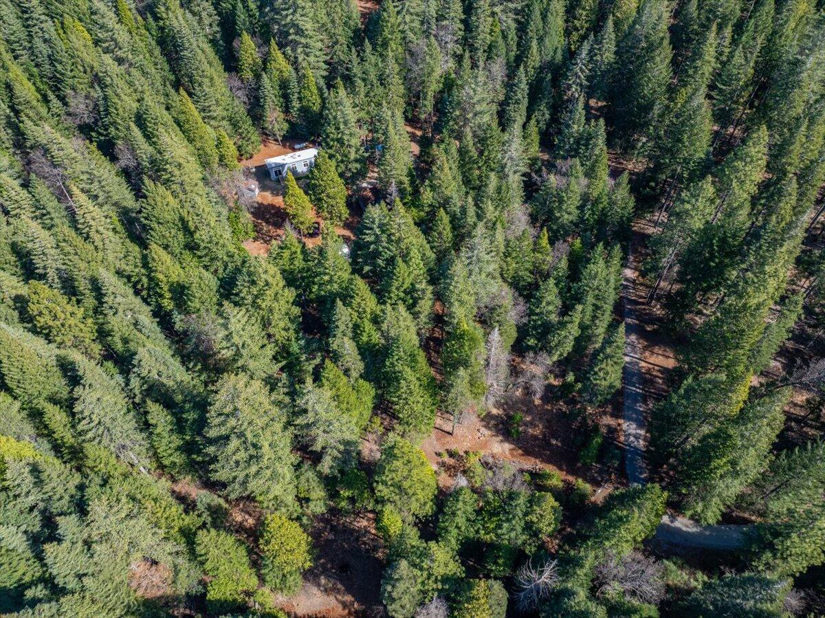 8495 Sky Tree Lane Shingletown, CA 96088 - Photo 30 of 55 an aerial view of residential house with outdoor space and trees all around