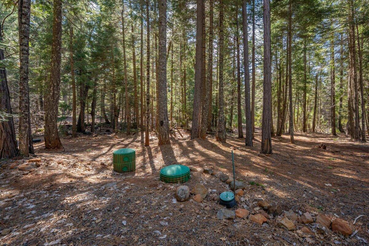 8495 Sky Tree Lane Shingletown, CA 96088 - Photo 33 of 55 a view of a backyard with trees