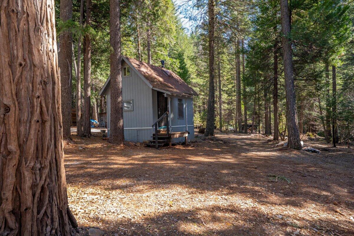 8495 Sky Tree Lane Shingletown, CA 96088 - Photo 40 of 55 a view of a house with backyard and trees