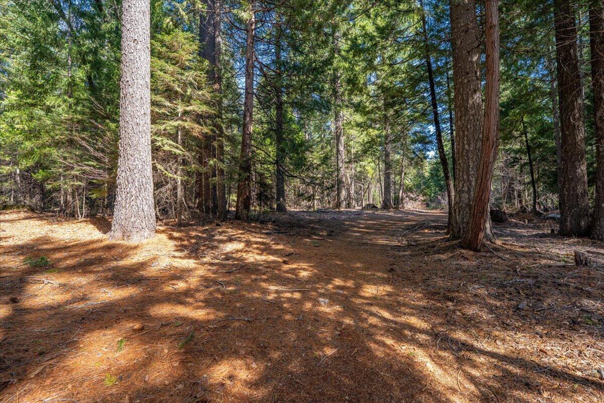 8495 Sky Tree Lane Shingletown, CA 96088 - Photo 45 of 55 a view of outdoor space with trees