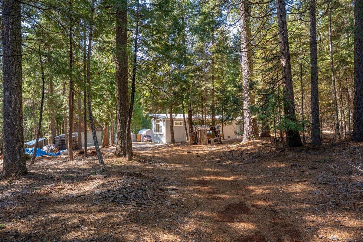 8495 Sky Tree Lane Shingletown, CA 96088 - Photo 47 of 55 a view of road with trees