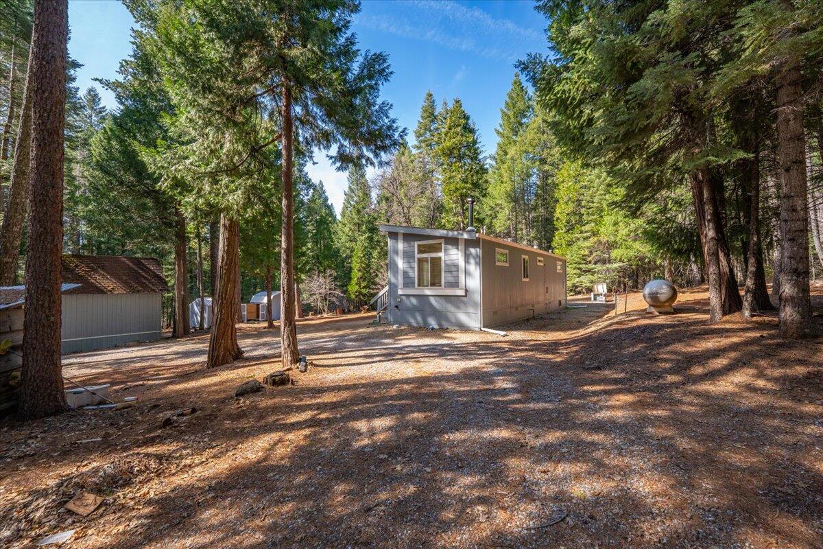 8495 Sky Tree Lane Shingletown, CA 96088 - Photo 48 of 55 a view of a outdoor space with trees