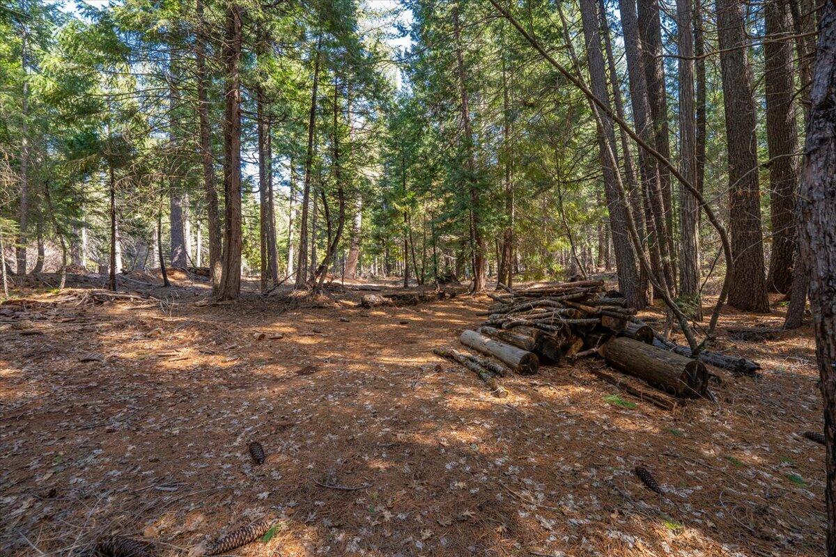 8495 Sky Tree Lane Shingletown, CA 96088 - Photo 51 of 55 a view of outdoor space with trees