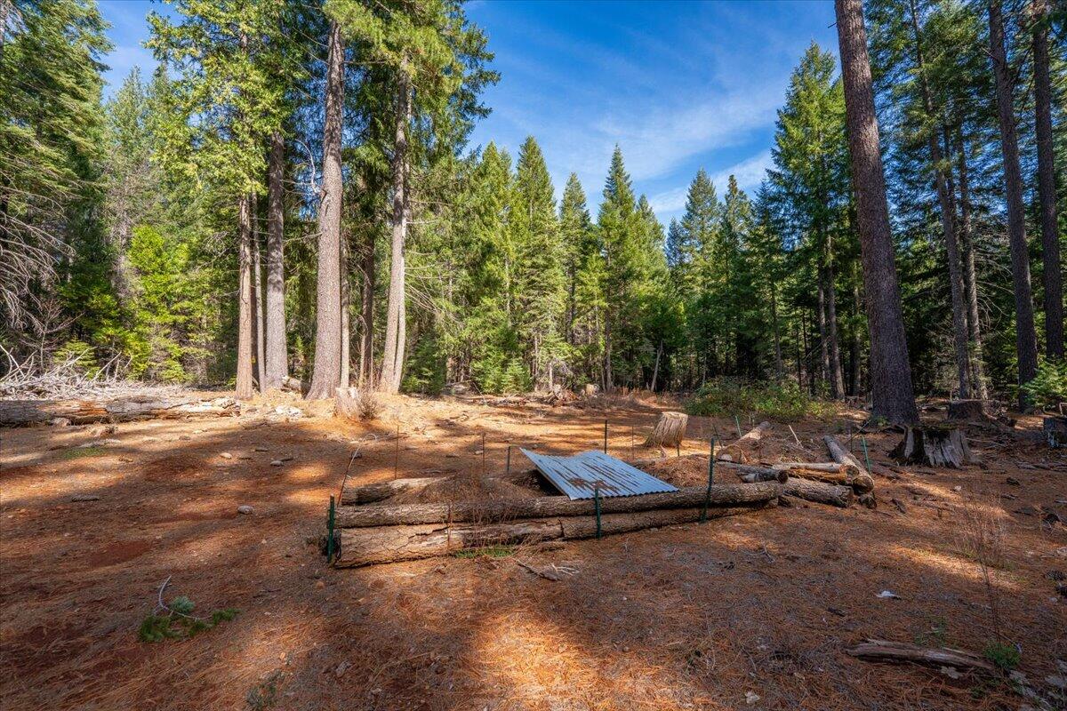 8495 Sky Tree Lane Shingletown, CA 96088 - Photo 53 of 55 a backyard of a house with table and chairs