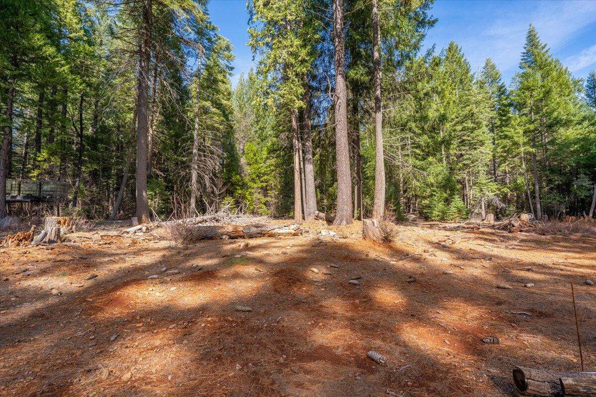 8495 Sky Tree Lane Shingletown, CA 96088 - Photo 54 of 55 a view of backyard with trees