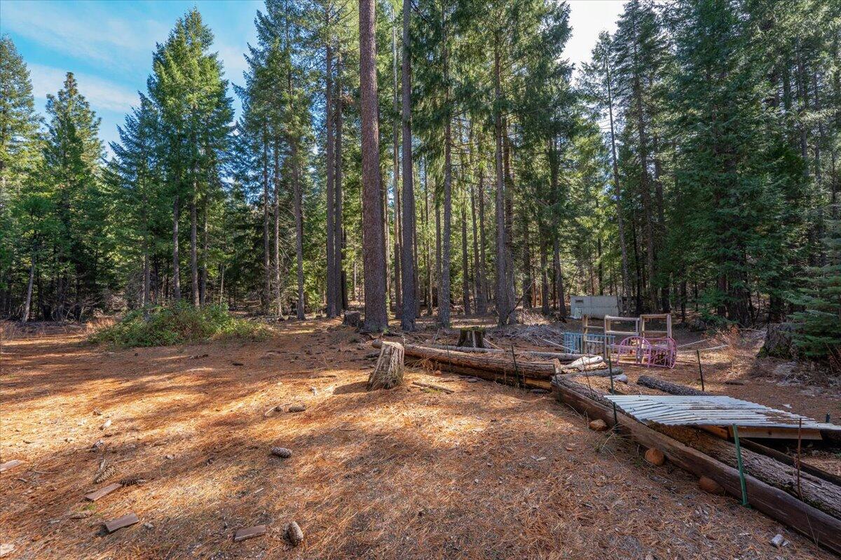 8495 Sky Tree Lane Shingletown, CA 96088 - Photo 55 of 55 a view of backyard with trees