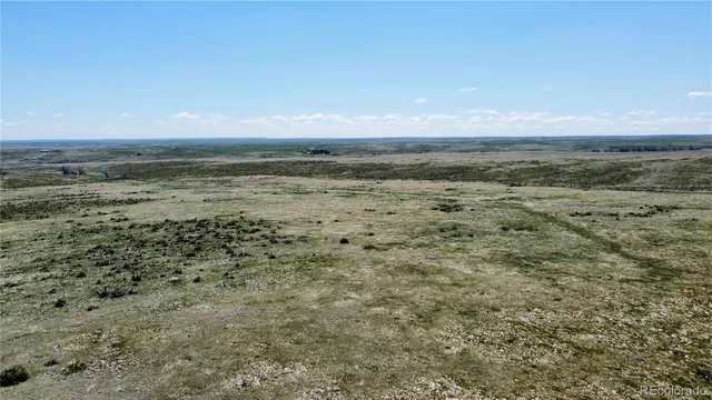 a view of a field with an ocean beach
