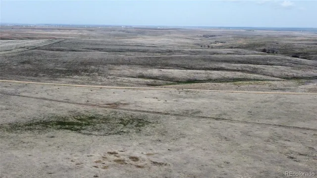 a view of a dry yard with wooden floor