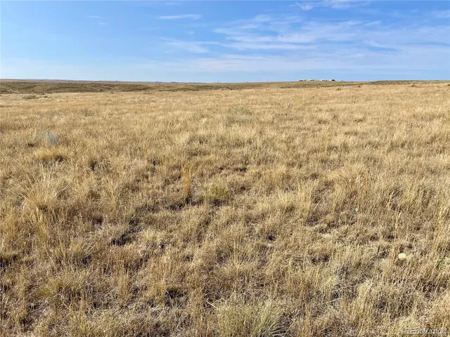 a view of beach with an ocean