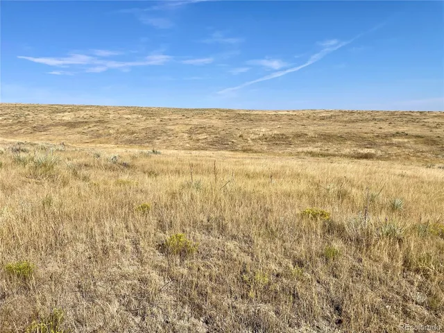 a view of city and ocean