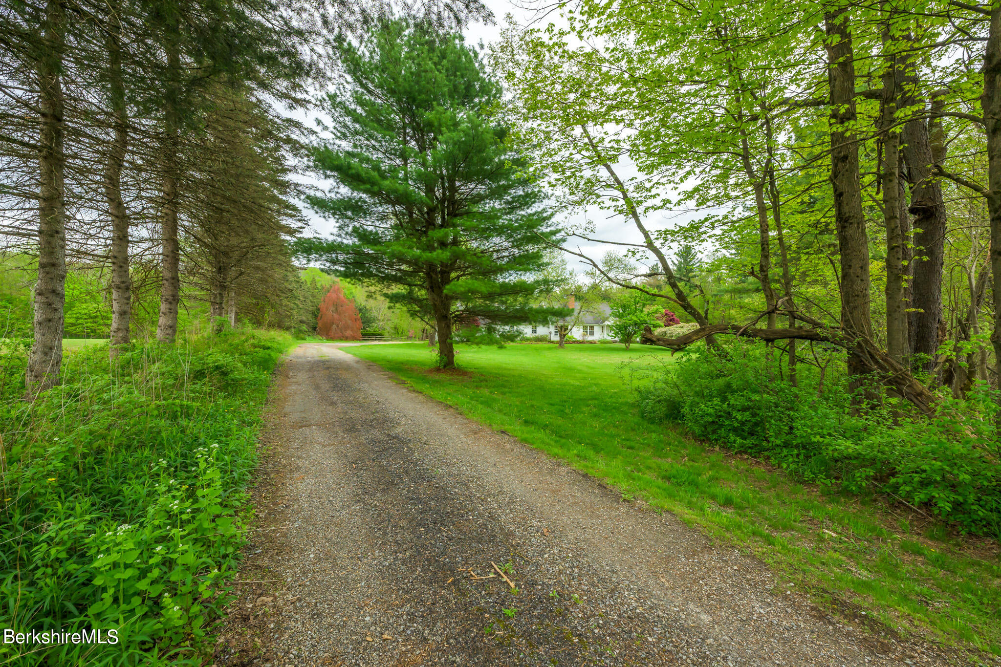 262 W Road Alford, MA 01266 - Photo 4 of 31 Approach to house