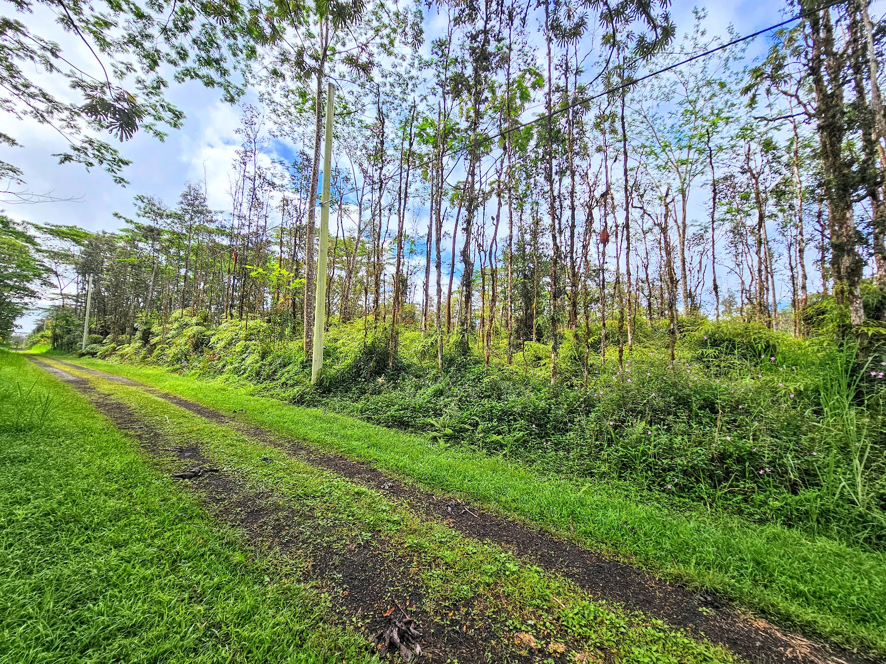 206 Pikake Road Pahoa, HI 96778 - Photo 8 of 11 Gallery Image 8