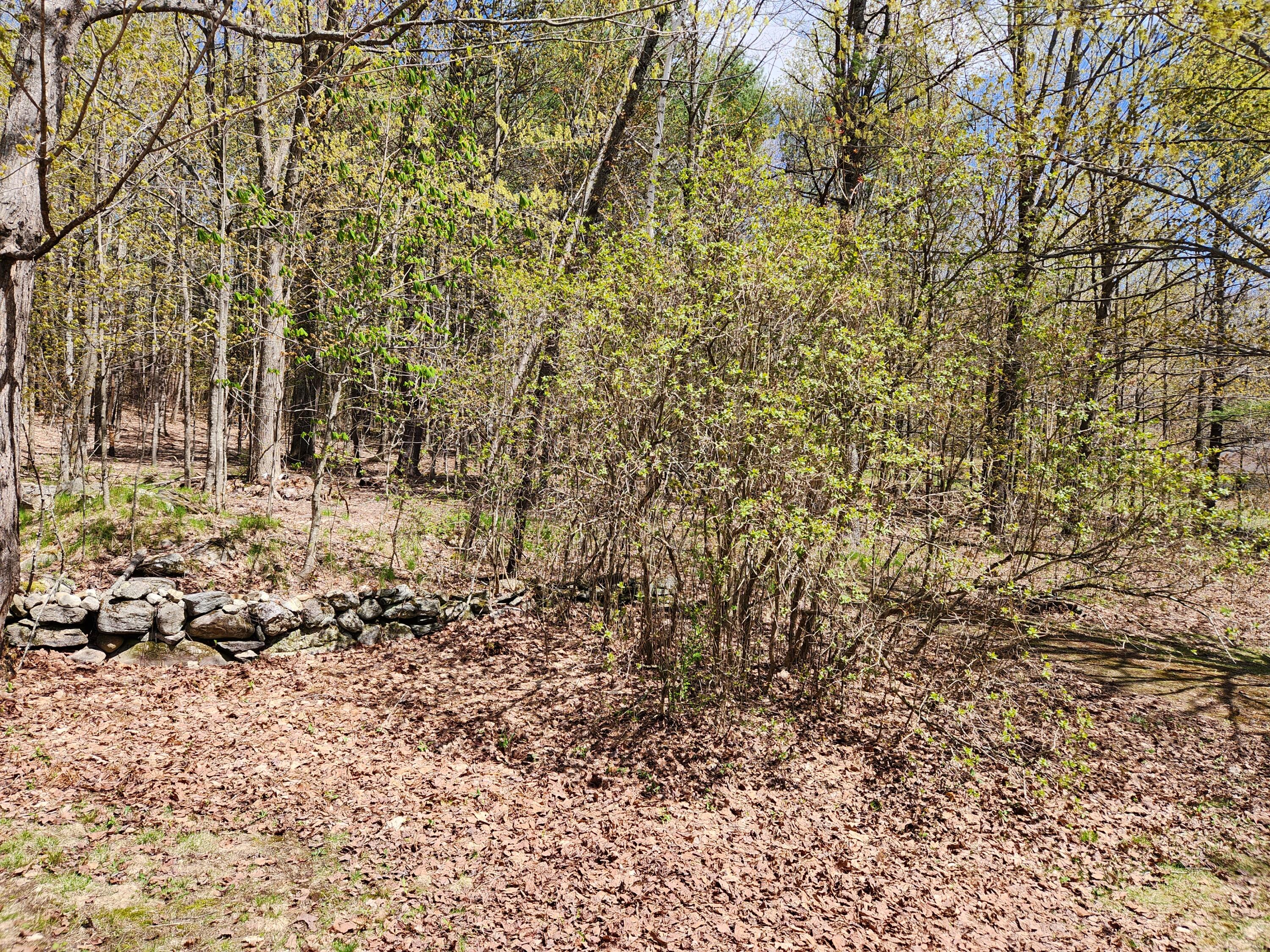 110 Christian Ridge Road South Paris, ME 04281 - Photo 62 of 69 20230506_135655