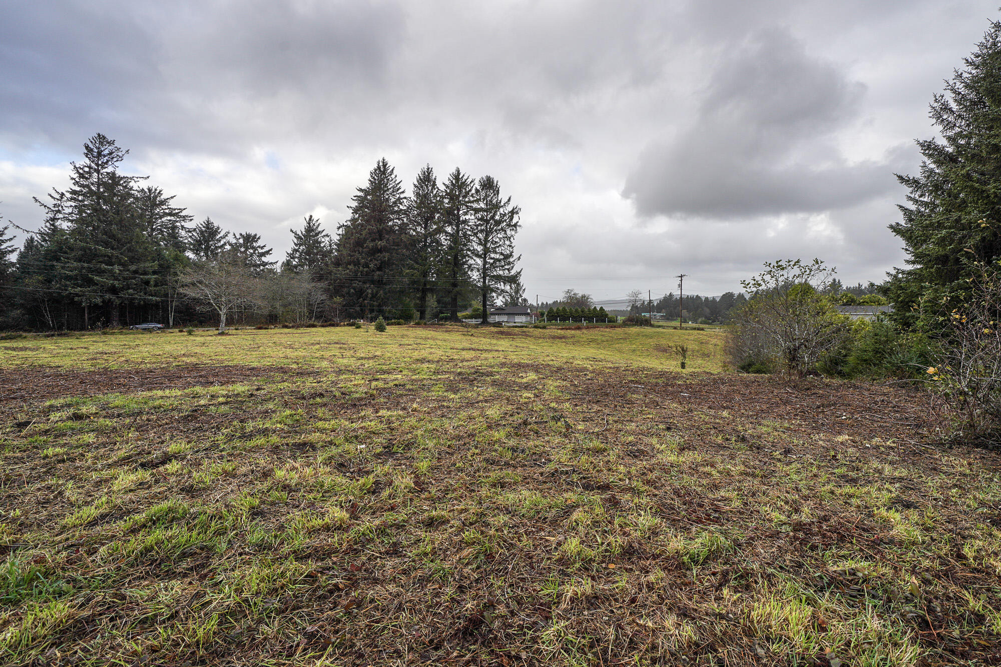 Lot 101 Whiskey Creek Road Tillamook, OR 97141 - Photo 10 of 12 10