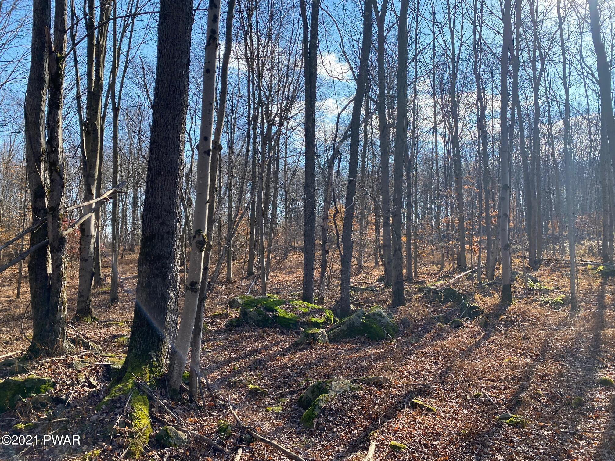 Hemlock Road Waymart, PA 18472 - Photo 3 of 5