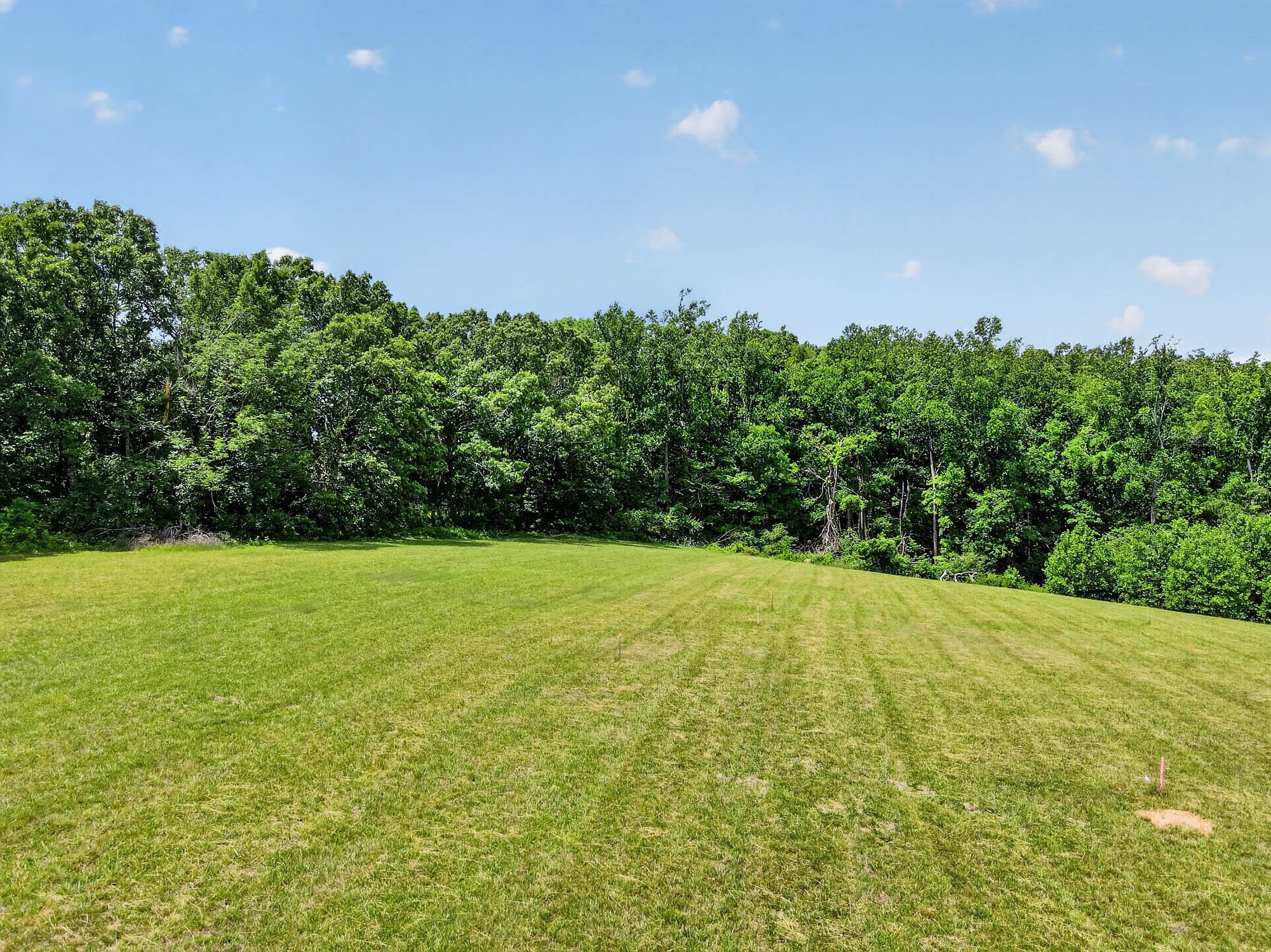 7393 South Harpeth Road Franklin, TN 37064 - Photo 13 of 27
