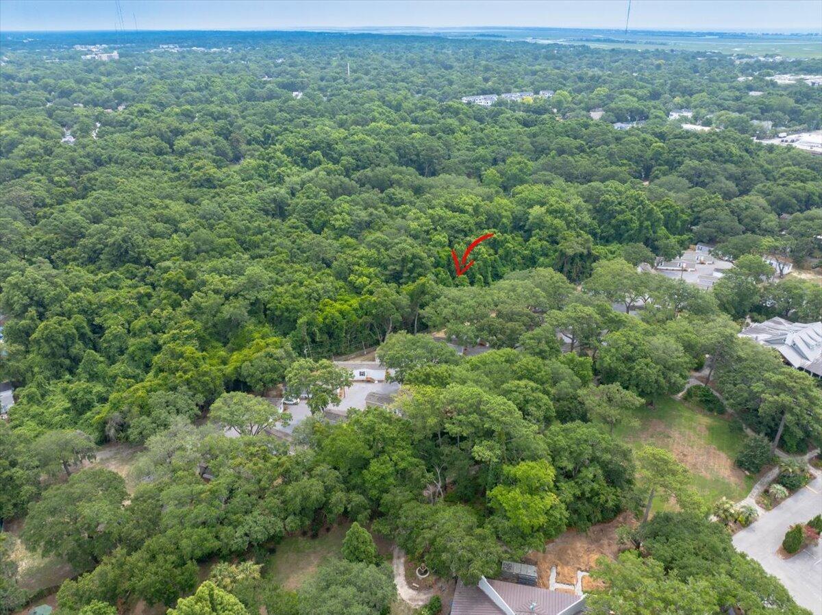 1156 Russell Drive, Unit 9 Mount Pleasant, SC 29464 - Photo 26 of 34 08-DJI_20240627113151_0028_D-HDR