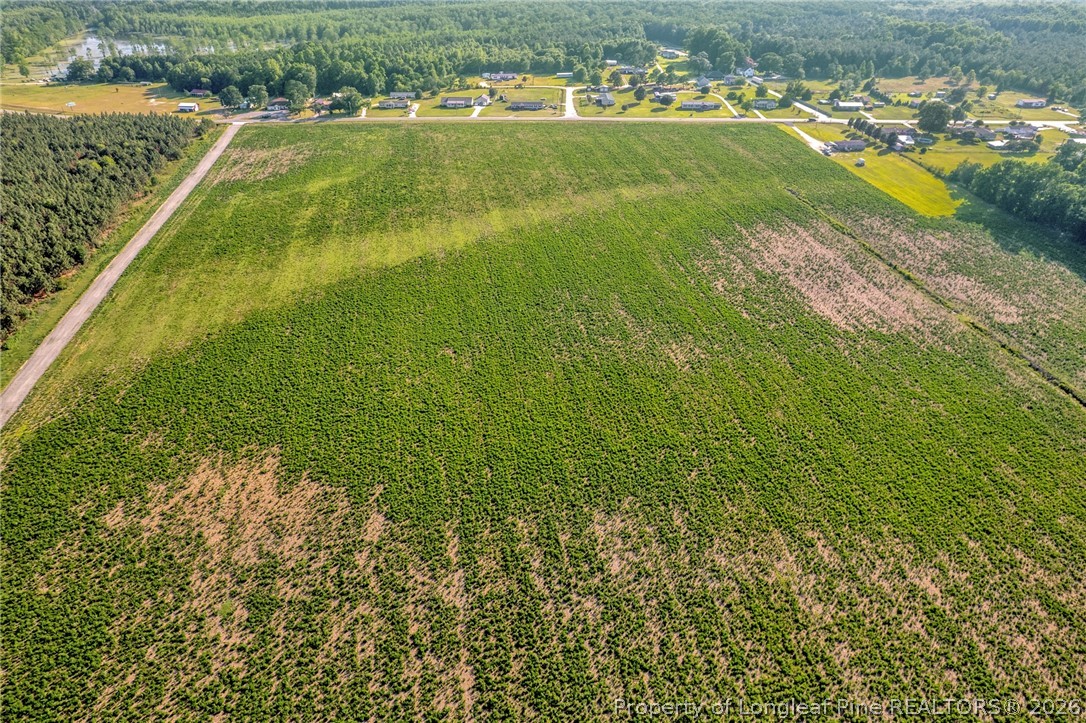 0 Old Wire (lot 11) Road Shannon, NC 28386 - Photo 16 of 17