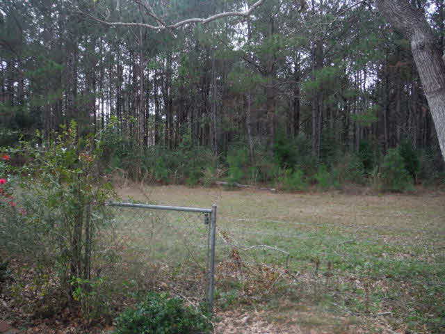 1220 Chagrin Drive Lillian, AL 36549 - Photo 17 of 22 Back yard