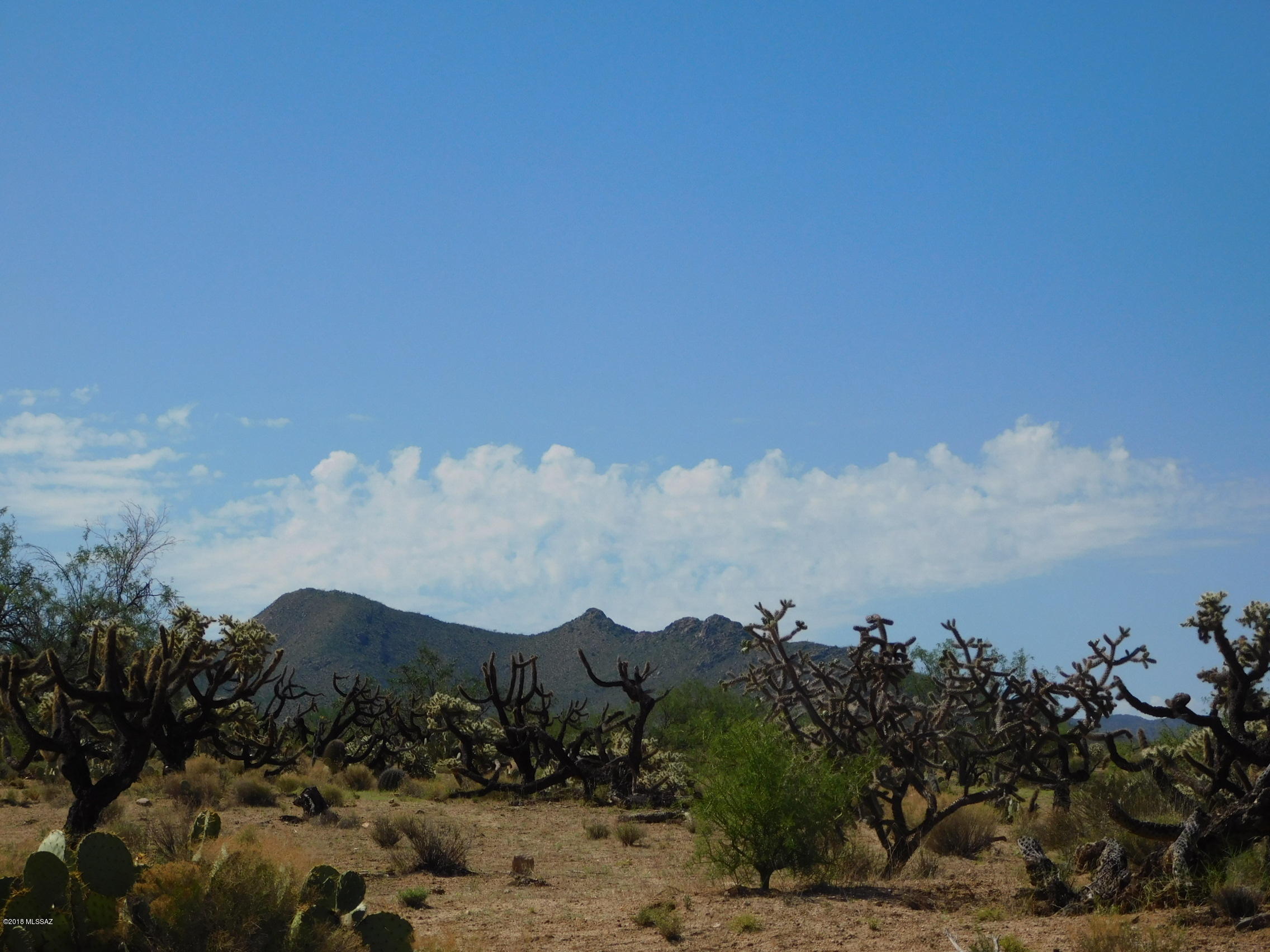 13550 Moeur Road, Unit 252/4 Tucson, AZ 85736 - Photo 1 of 9