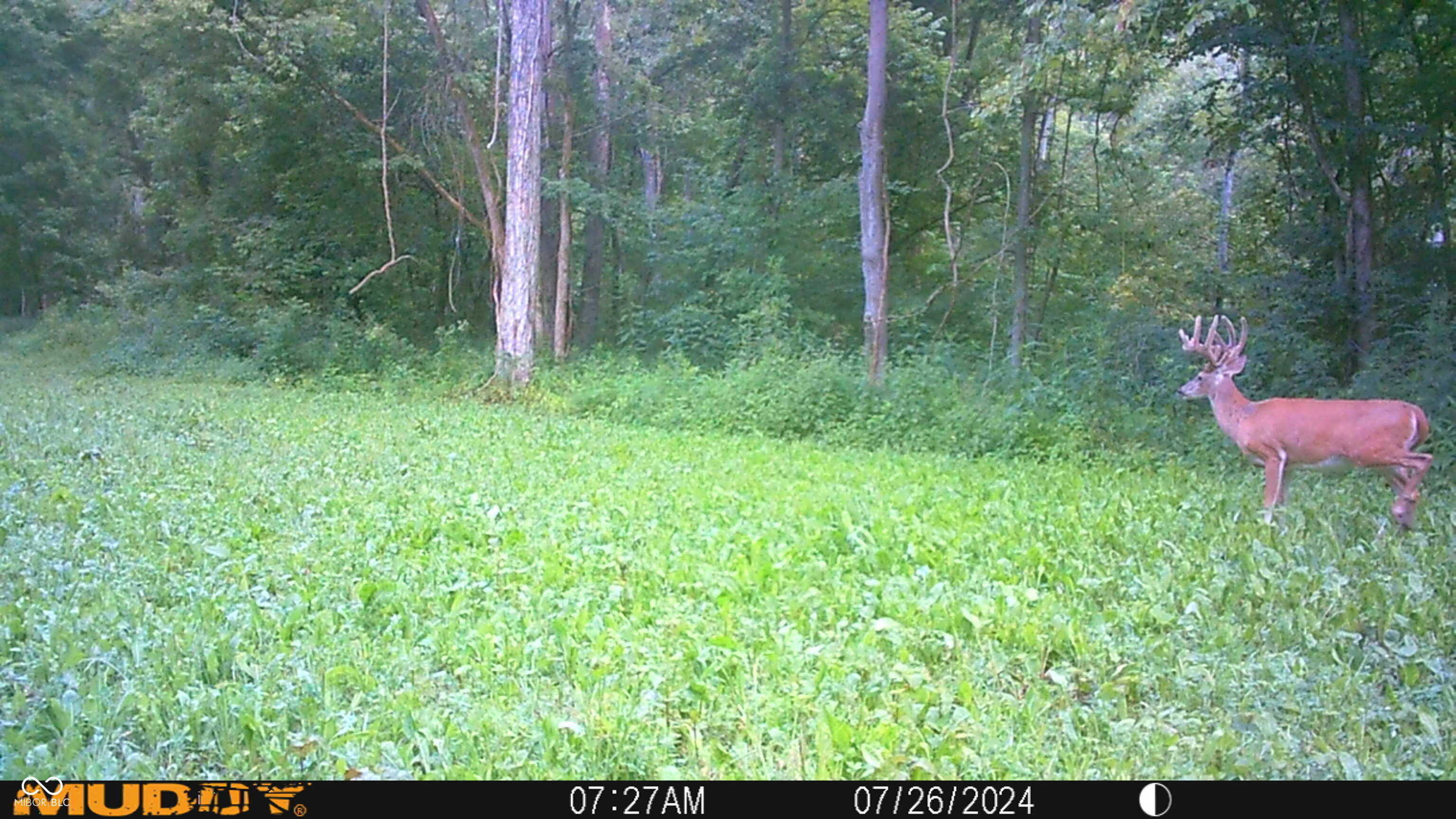 2933 Saluda Hl Road Hanover, IN 47243 - Photo 103 of 122