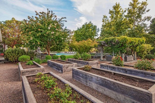 a view of a backyard with plants and outdoor seating