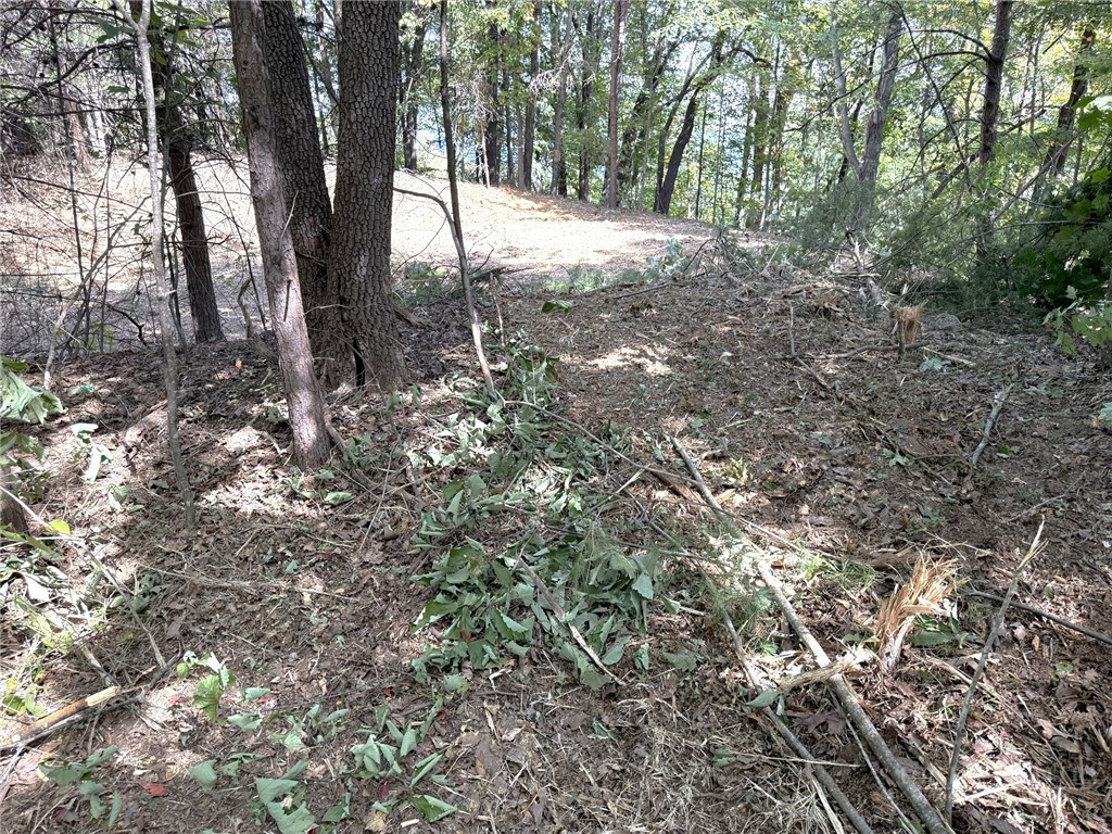 Ridge Run Road Boomer, NC 28606 - Photo 6 of 15 Gallery Image 6