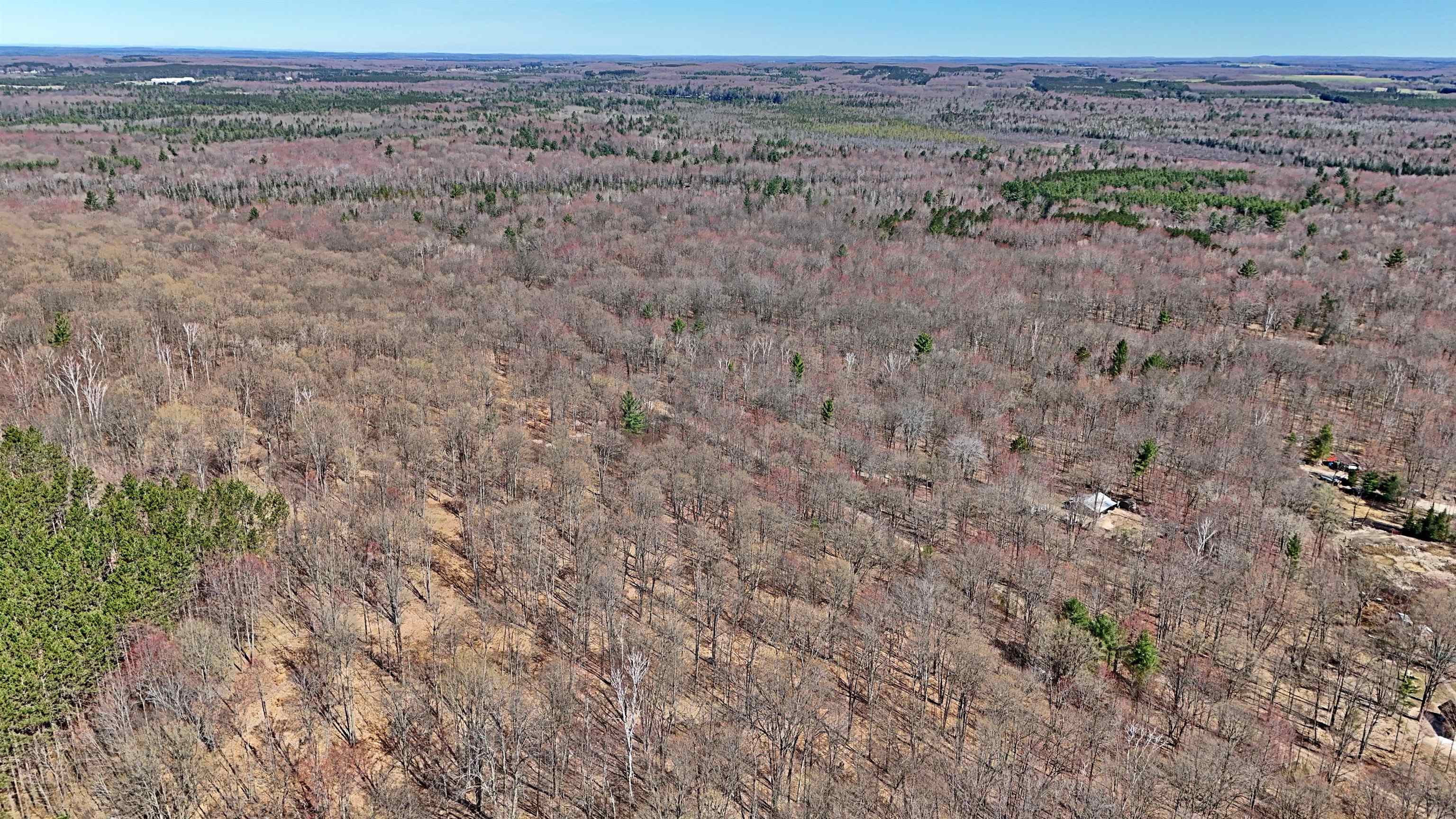 Vl 00 Cherry Hill Road Fife Lake, MI 49633 - Photo 18 of 21