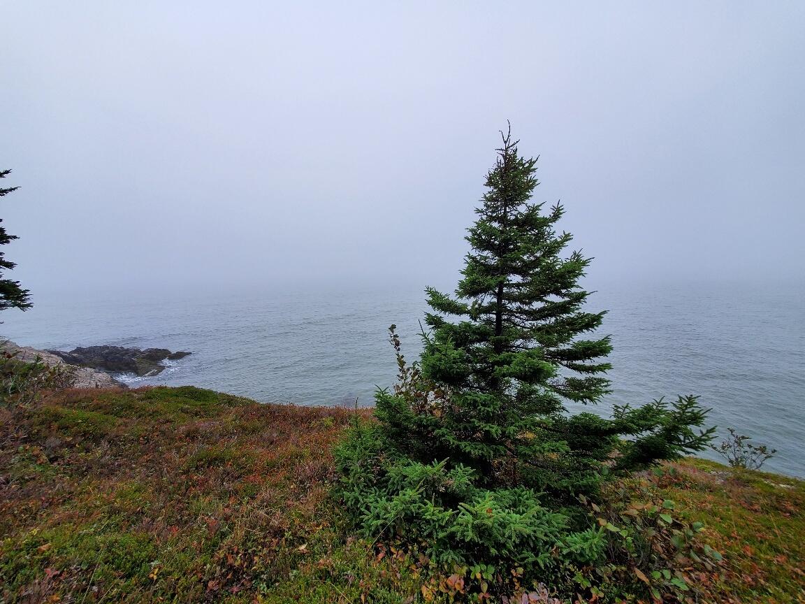 Lot 7 South Ocean Road Machiasport, ME 04655 - Photo 26 of 44 NW line