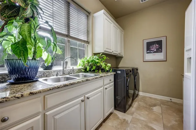 a kitchen with sink and potted plant