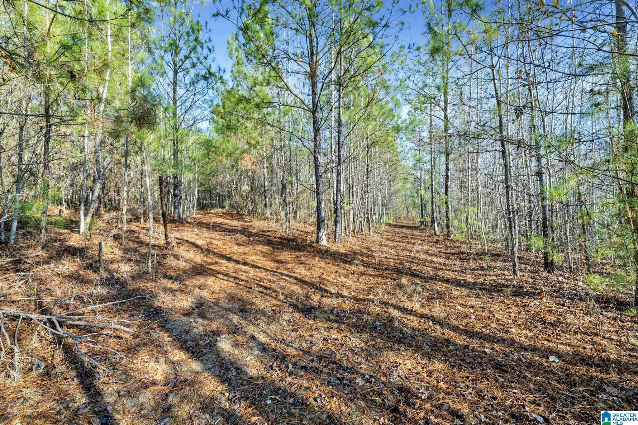 941 Hamm Road Blountsville, AL 35031 - Photo 48 of 67