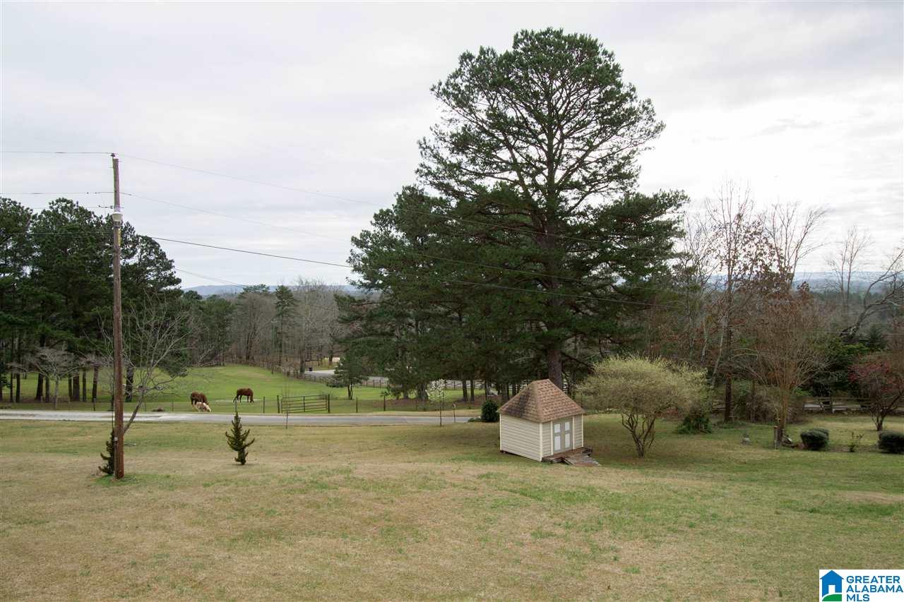 1105 Saddlebrook Road Birmingham, AL 35210 - Photo 31 of 32