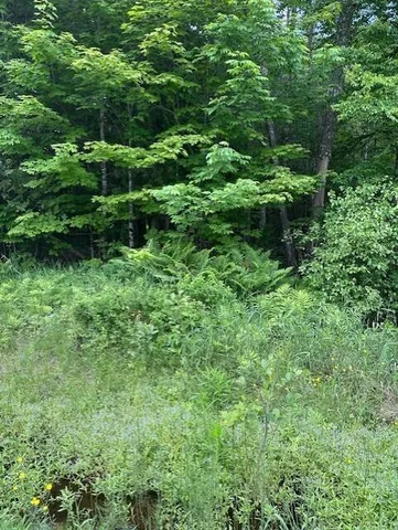 $55,000 | 3-3-a Avenue Road, Corinth, ME 04427