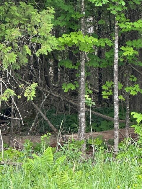 3-3-a Avenue Road Corinth, ME 04427 - Photo 5 of 6 AvenueRd5