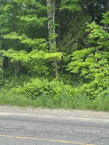 $55,000 | 3-3-a Avenue Road, Corinth, ME 04427