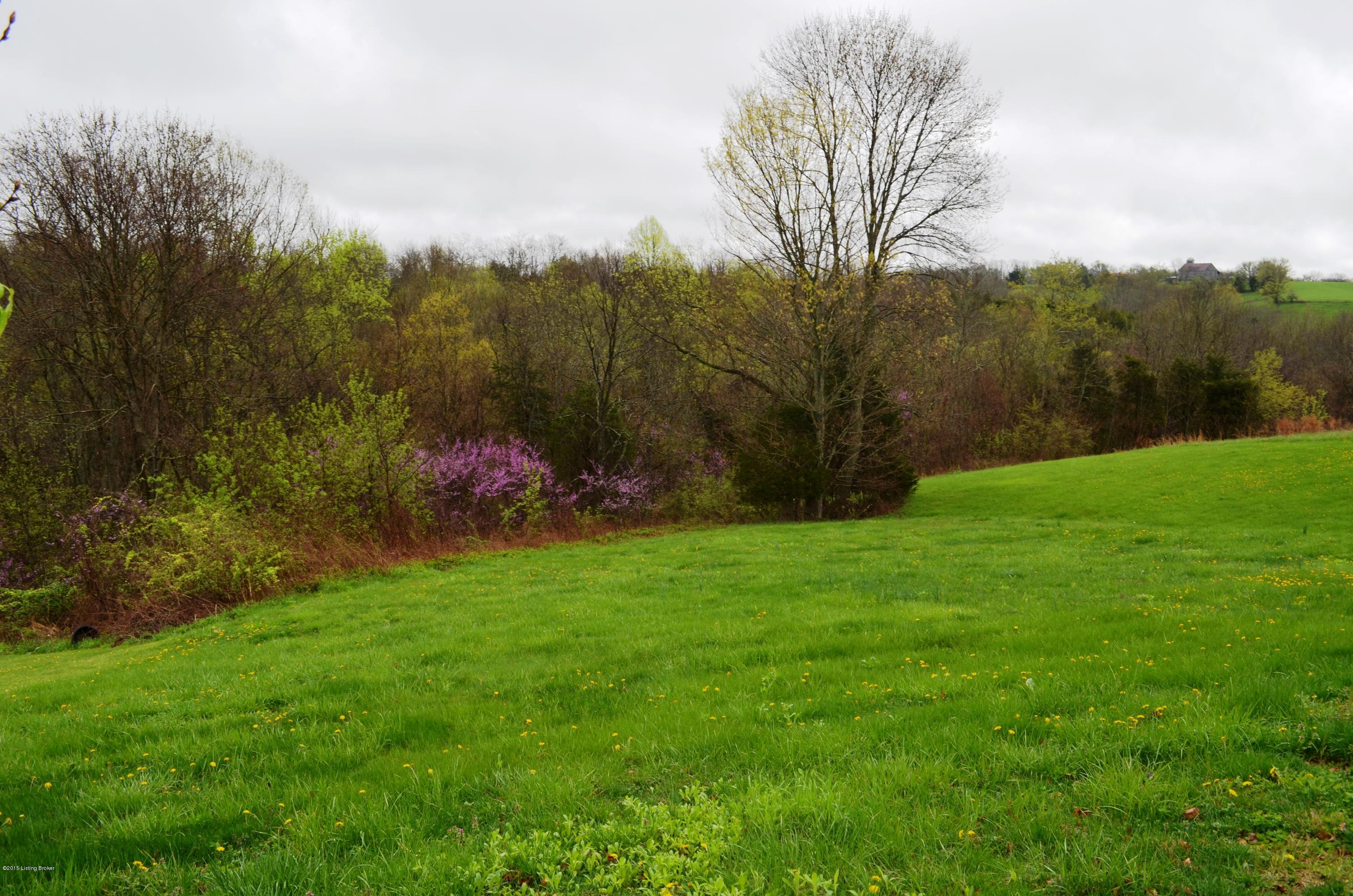 204 Goodlett Road Mount Eden, KY 40046 - Photo 6 of 13 f rear yard