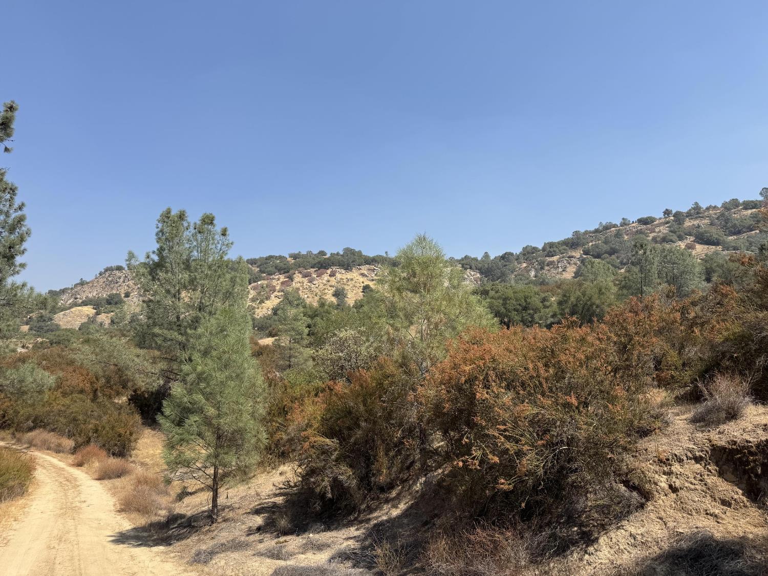 8 Monarch Canyon Road Coarsegold, CA 93614 - Photo 1 of 1 a view of a forest
