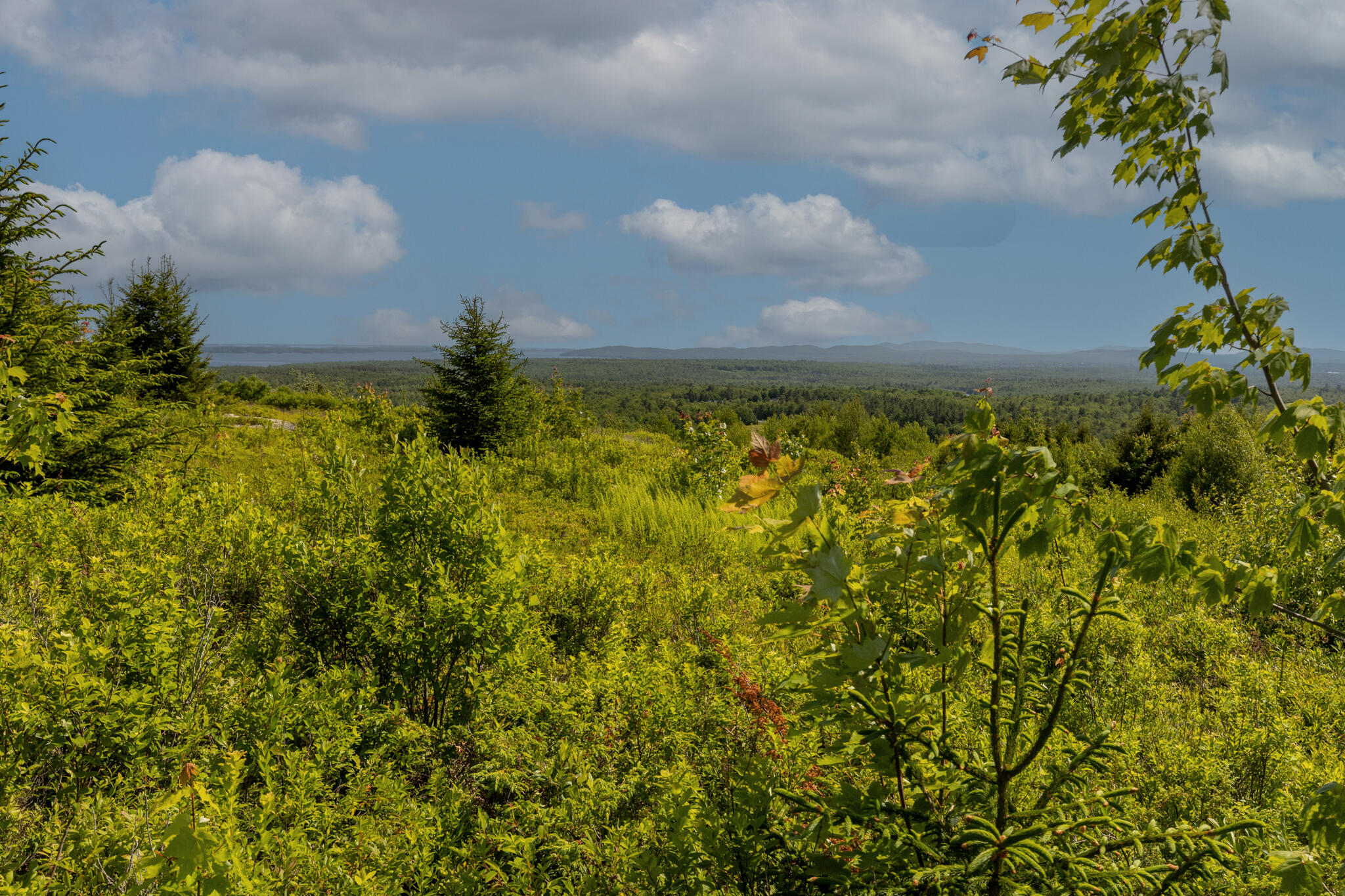 533 Mt Ephraim Road Searsport, ME 04974 - Photo 52 of 70