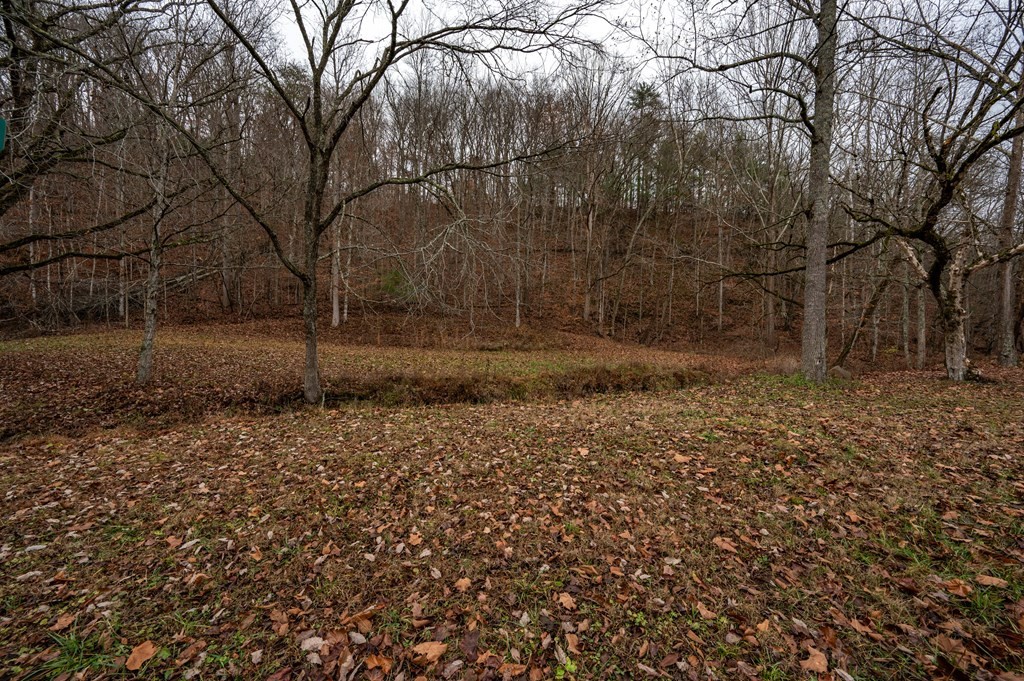 611 South Rogers Road Seymour, TN 37865 - Photo 15 of 27 Gallery Image 15