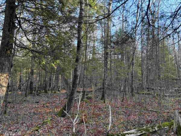 $199,900 | Xxx9 Xxx9 Powerhouse Trail, Ely, MN 55731