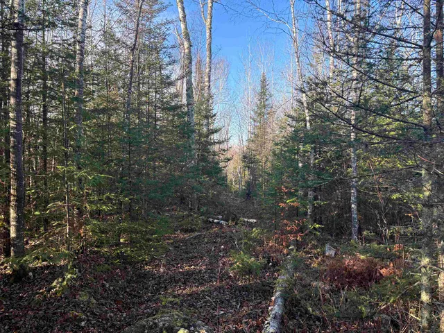 $199,900 | Xxx9 Xxx9 Powerhouse Trail, Ely, MN 55731