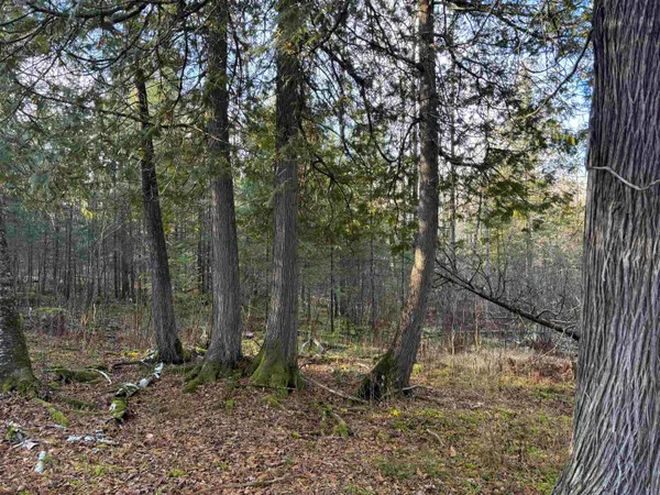 $199,900 | Xxx9 Xxx9 Powerhouse Trail, Ely, MN 55731
