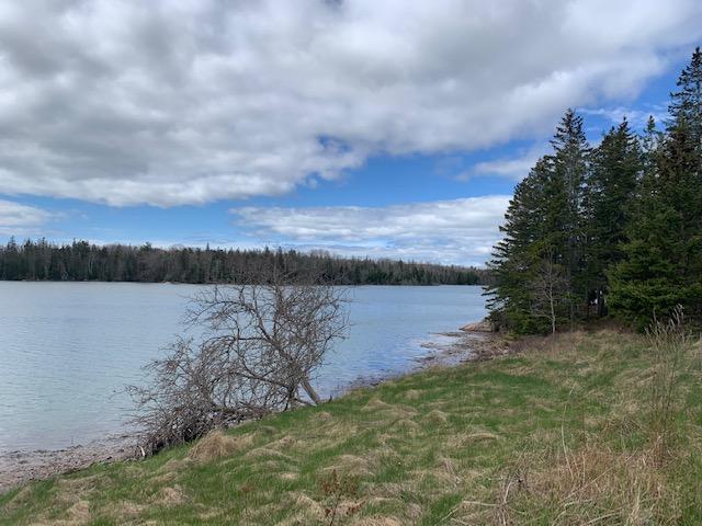 0 Fish Creek Road Deer Isle, ME 04627 - Photo 3 of 21 IMG_6265