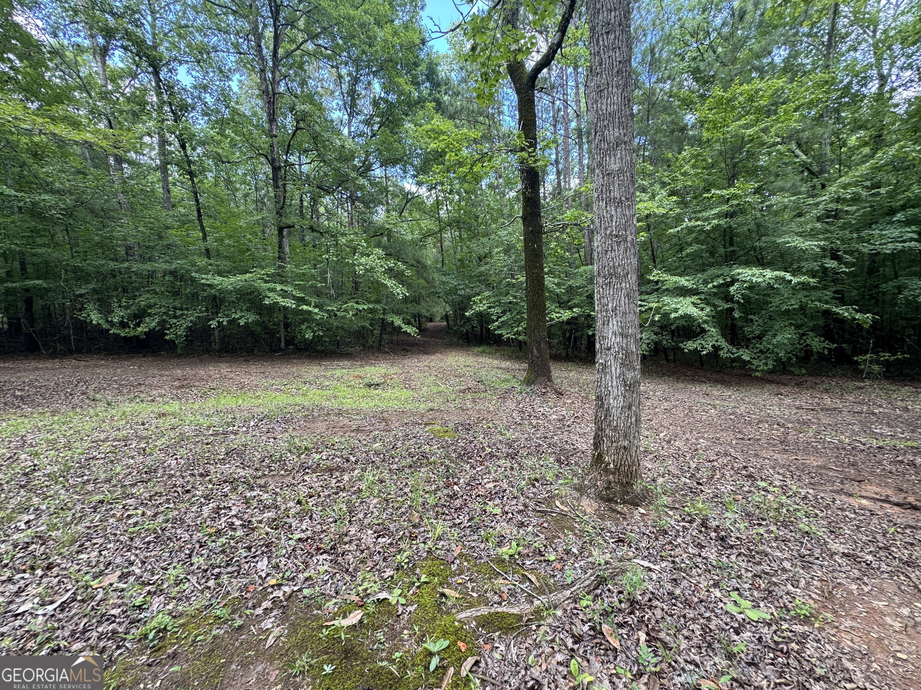 3413 Dames Ferry Road Forsyth, GA 31029 - Photo 10 of 23