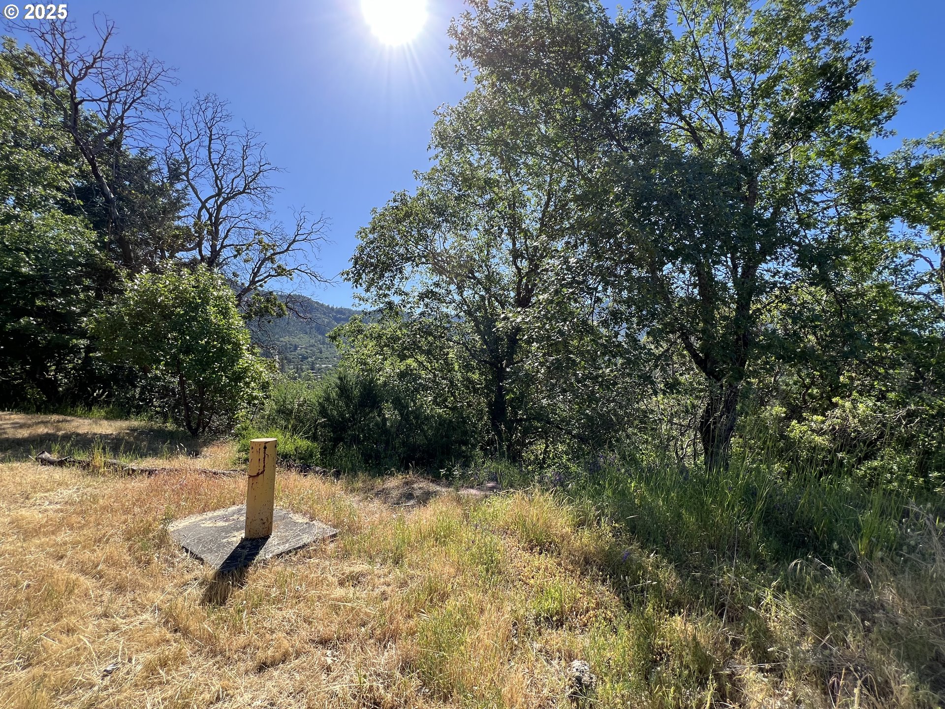 1636 Panoramic Loop Grants Pass, OR 97527 - Photo 3 of 8