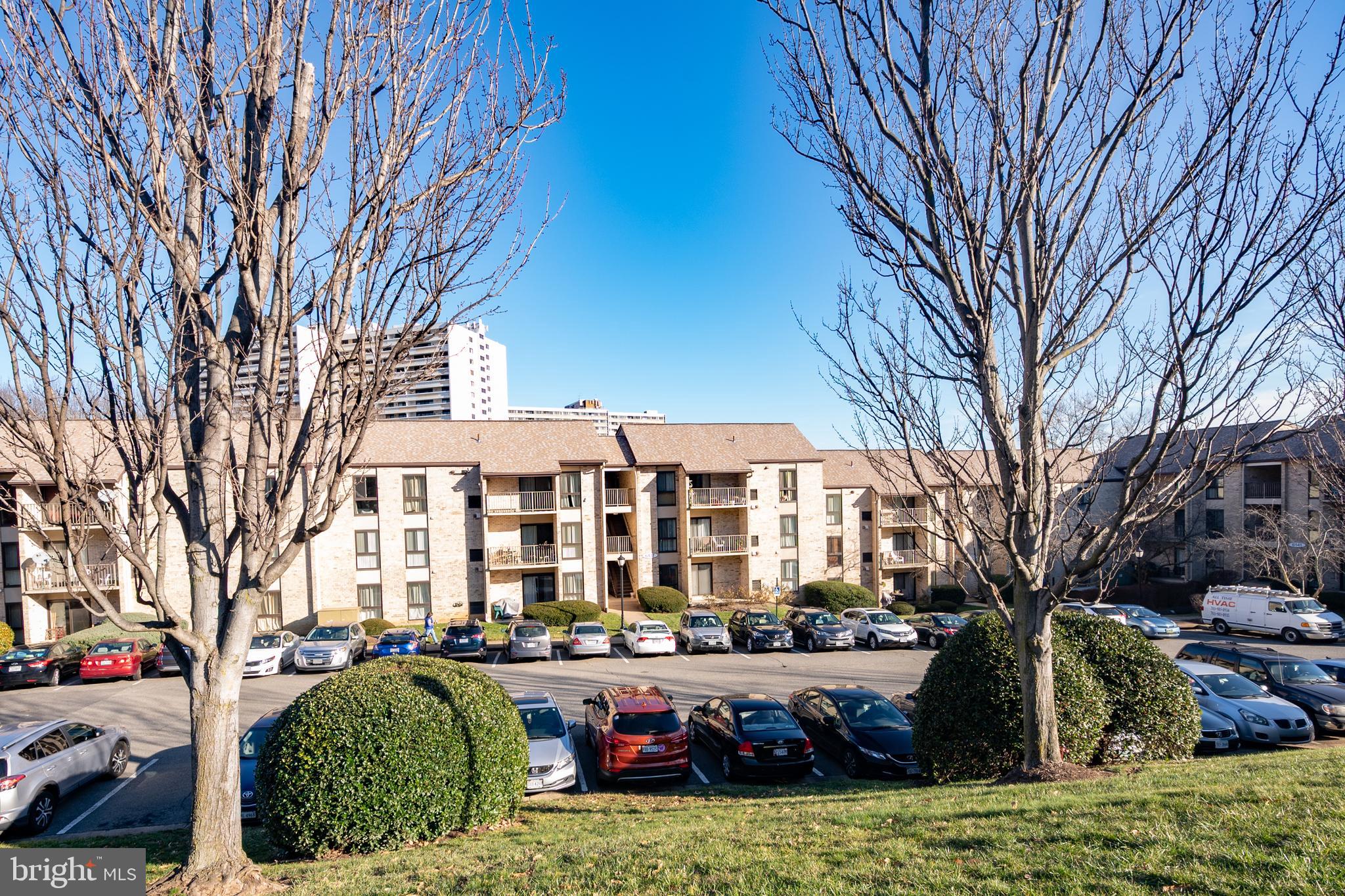 6137 Edsall Road, Unit F Alexandria, VA 22304 - Photo 28 of 36 a view of a building with a large tree